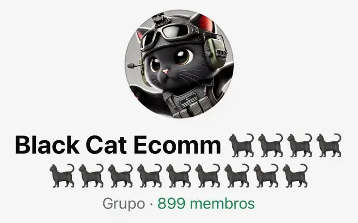 Print real do grupo de alunos no WhatsApp